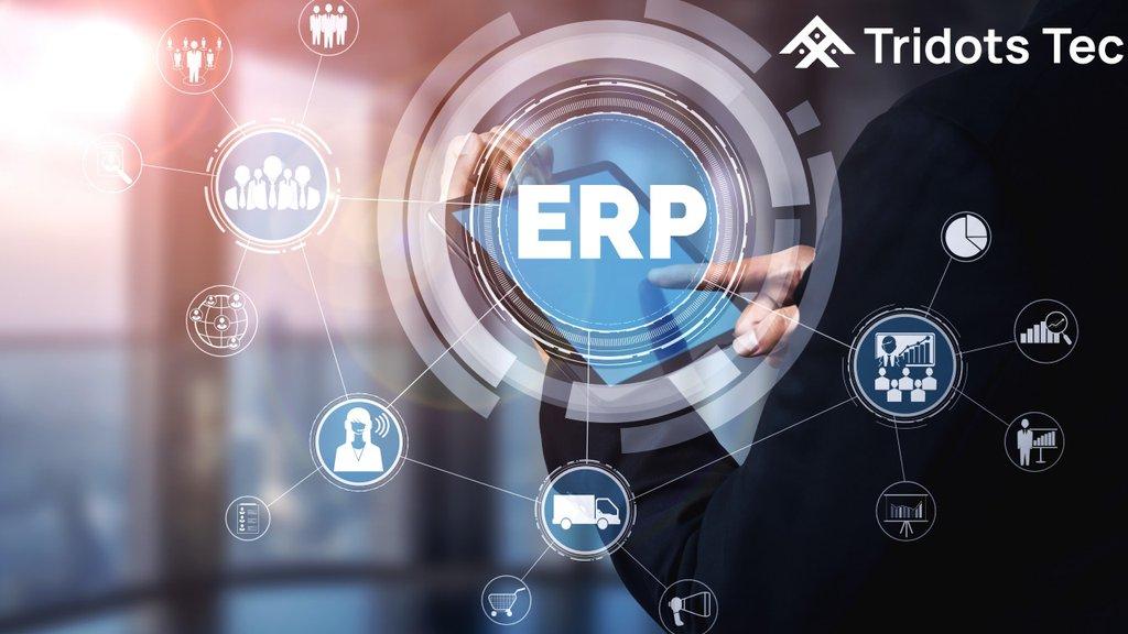 Build a Customized ERP Software Solution